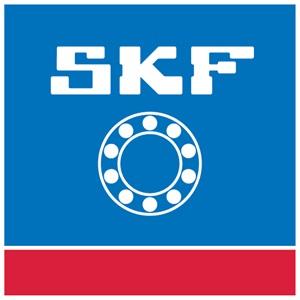 SET RULMENT ROATA NVKBA6956 SKF REMORCA