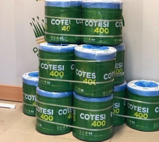 SFOARA BALOTAT COTESI 400