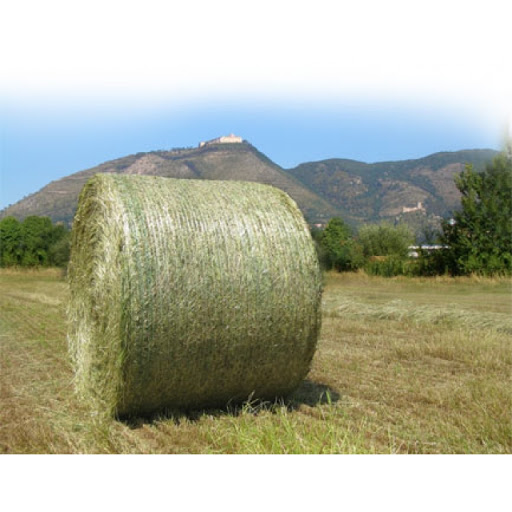 PLASA BALOTAT 123*3000 COTESI