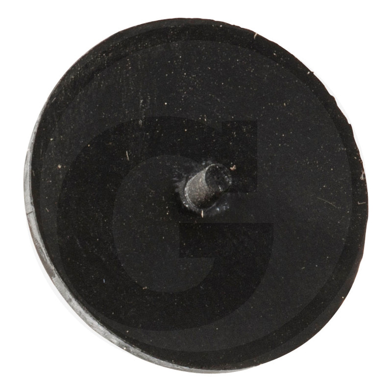 245ZF472 MEMBRANA ANTIPICURARE
