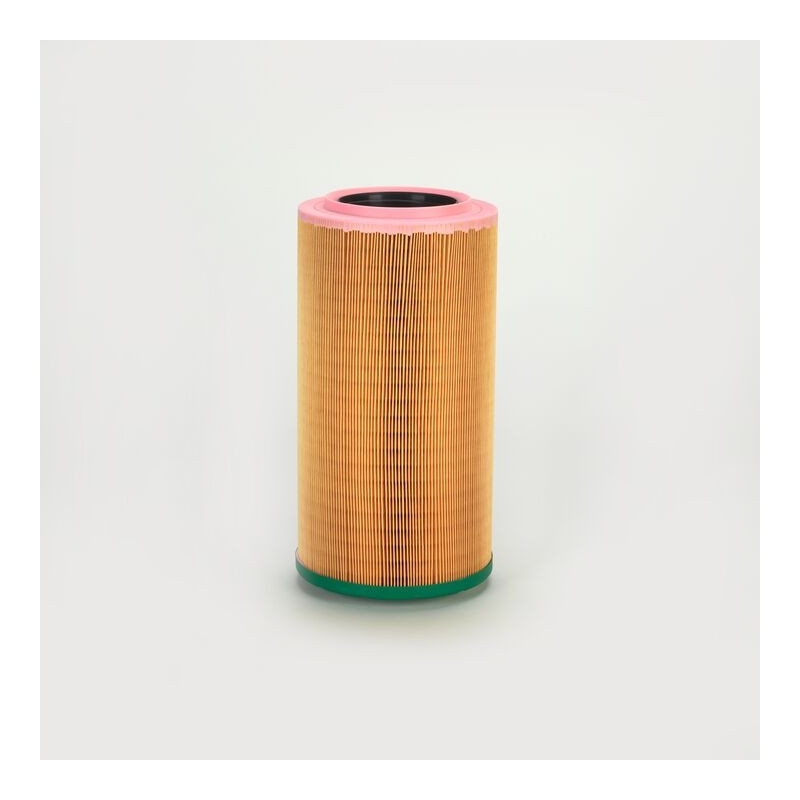 C13 FILTRU AER P953553