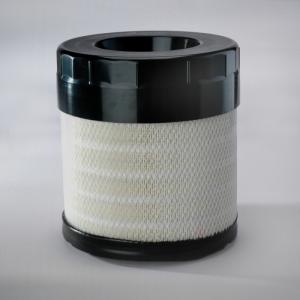 C14 FILTRU AER P783543 (87517154)