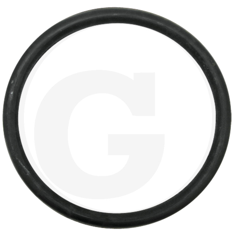 G31 4050220356 ORING 2.1/2 TOLI VIDANJA