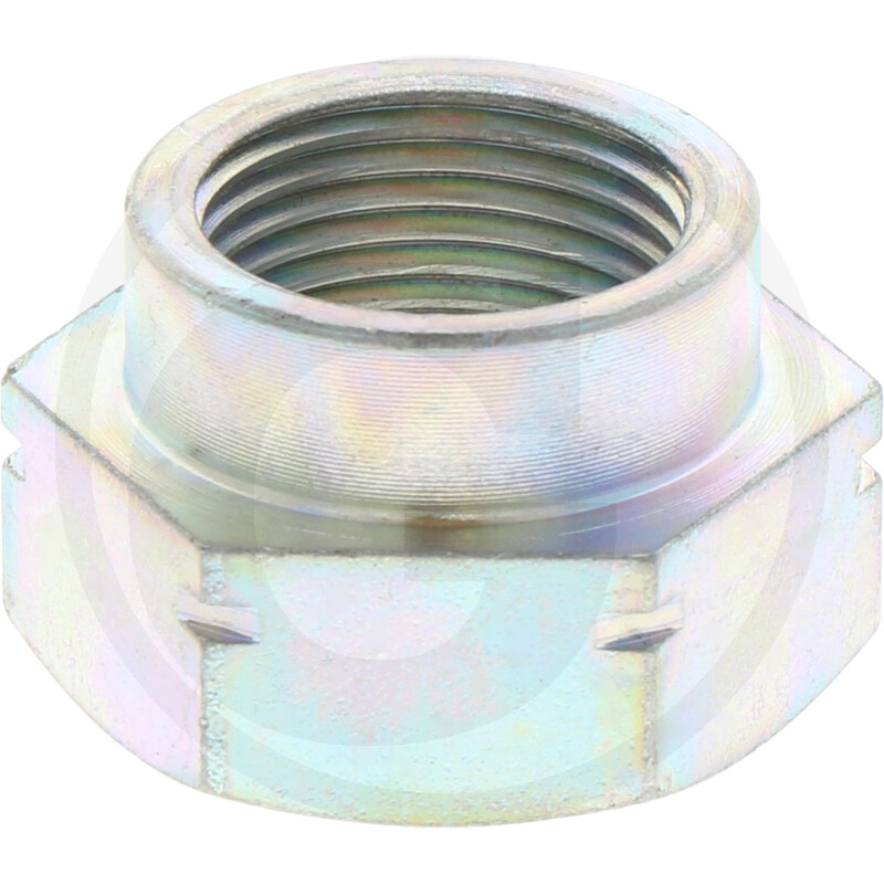 E47 LA323180050 PIULITA LAVERDA