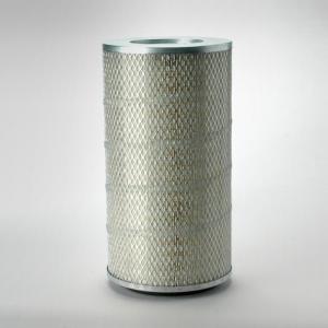 C13 FILTRU AER P771561